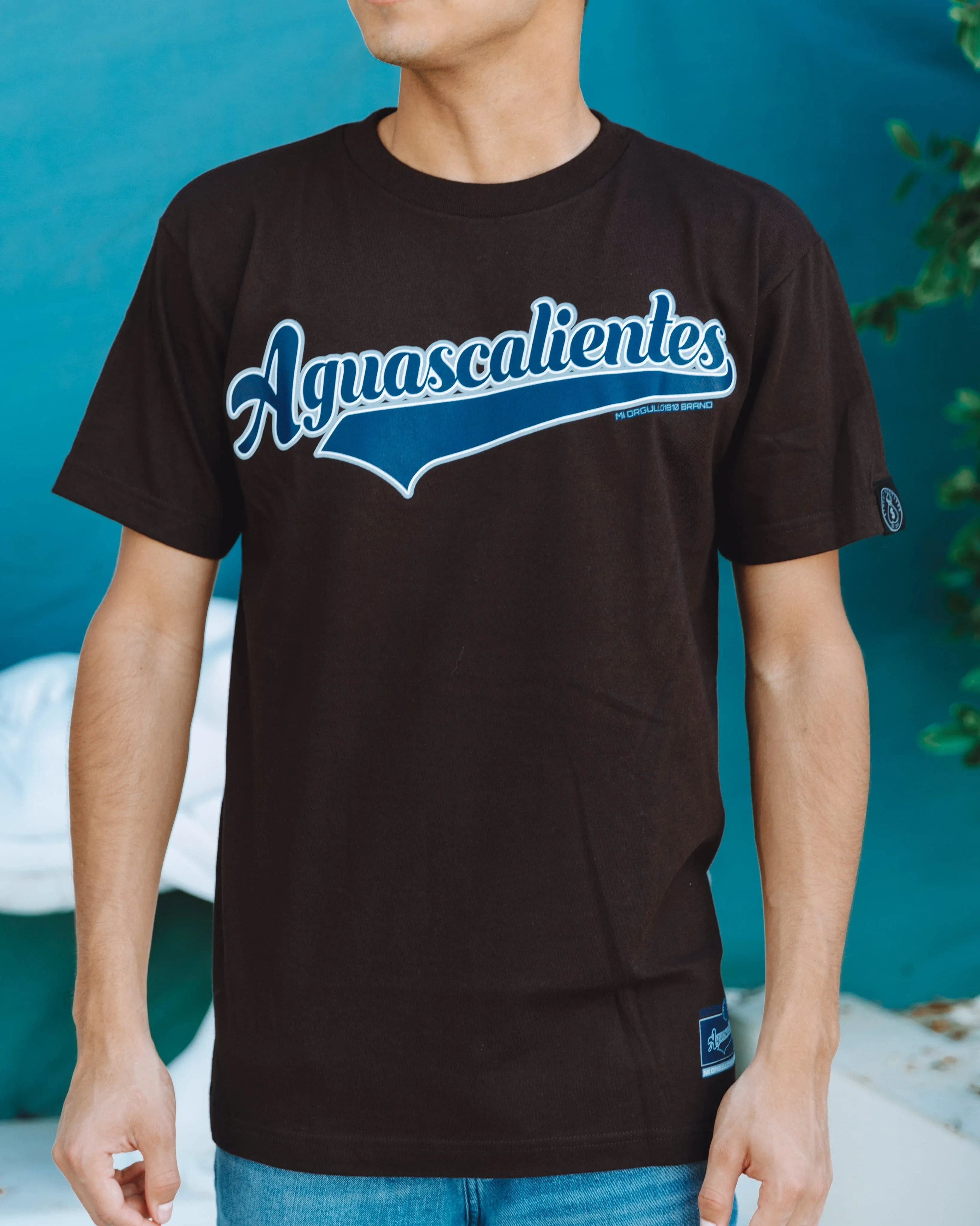 AGUASCALIENTES T-SHIRT (BLACK)