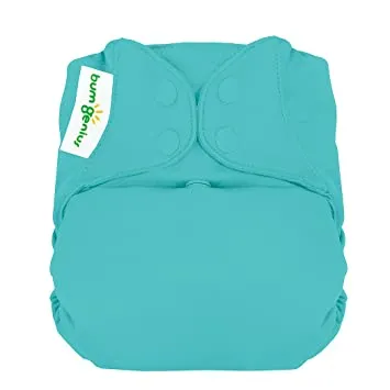 BumGenius Elemental OS Diaper